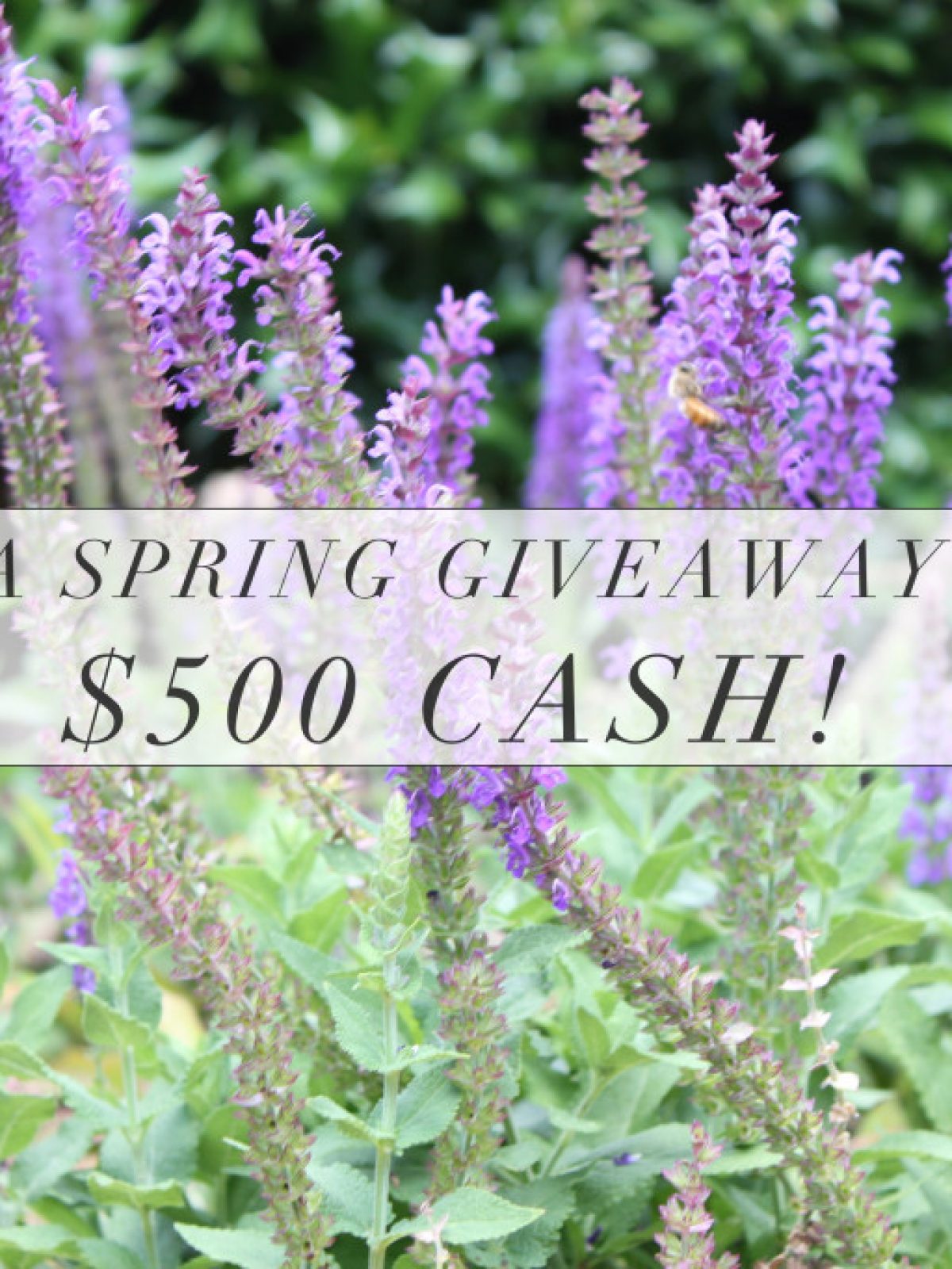 Spring Giveaway, $500