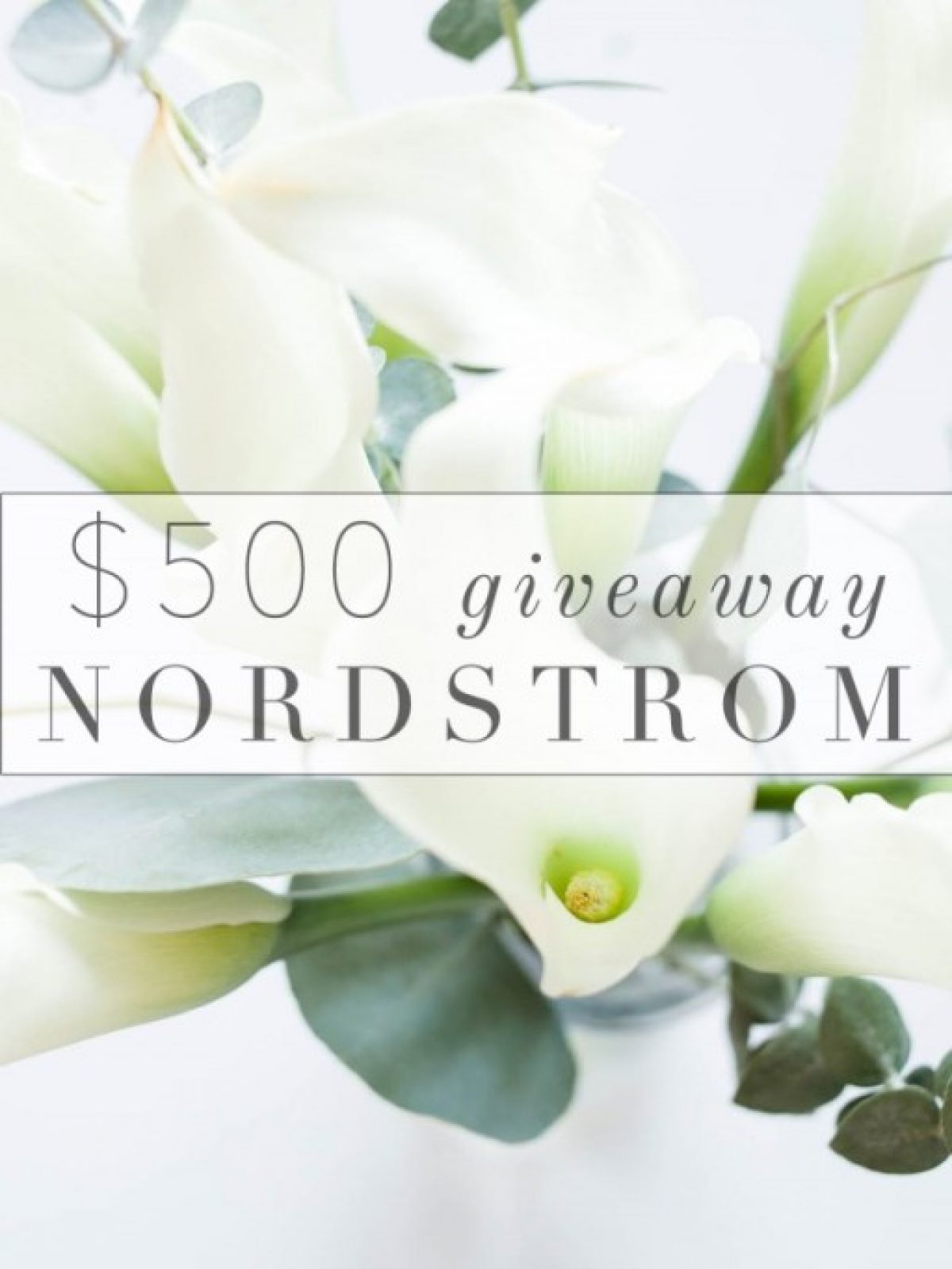 $500 nordstrom giveaway
