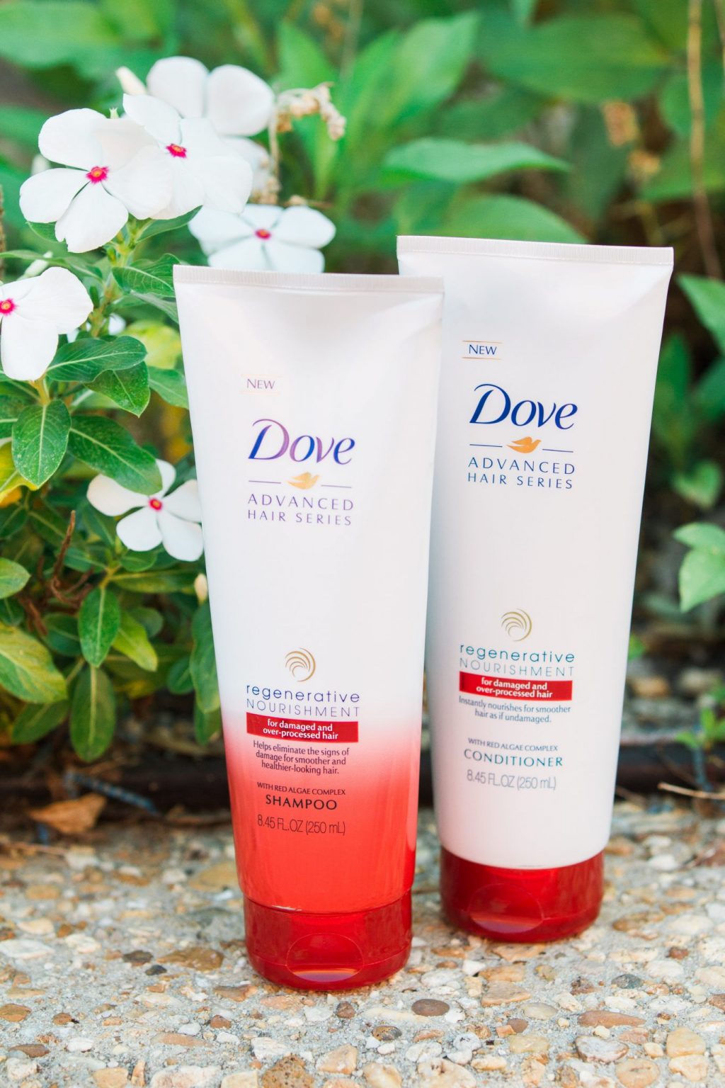 Dove Regenerative Nourishment shampoo and conditioner review, summer hair, dark hair, healthy hair tips, summer hair tips, dark hair for summer