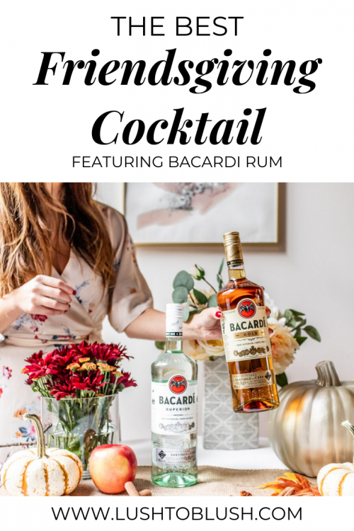 When hosting any kind of gathering, there’s one single must-have that can’t be skipped: cocktails shares Megan Elliot from Lush to Blush!