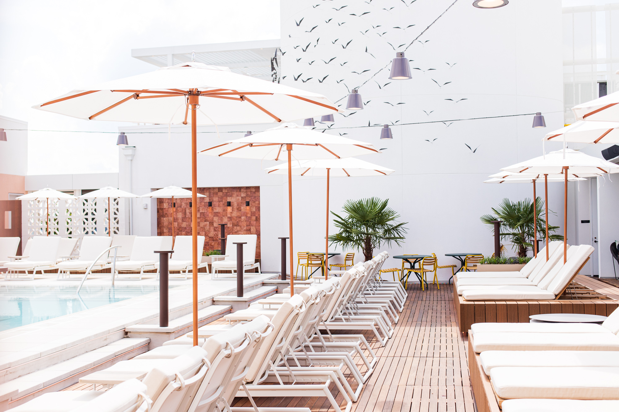 rooftop bars atlanta, rooftop restaurant in atlanta, hotels with rooftop pools, atlanta rooftop restaurants